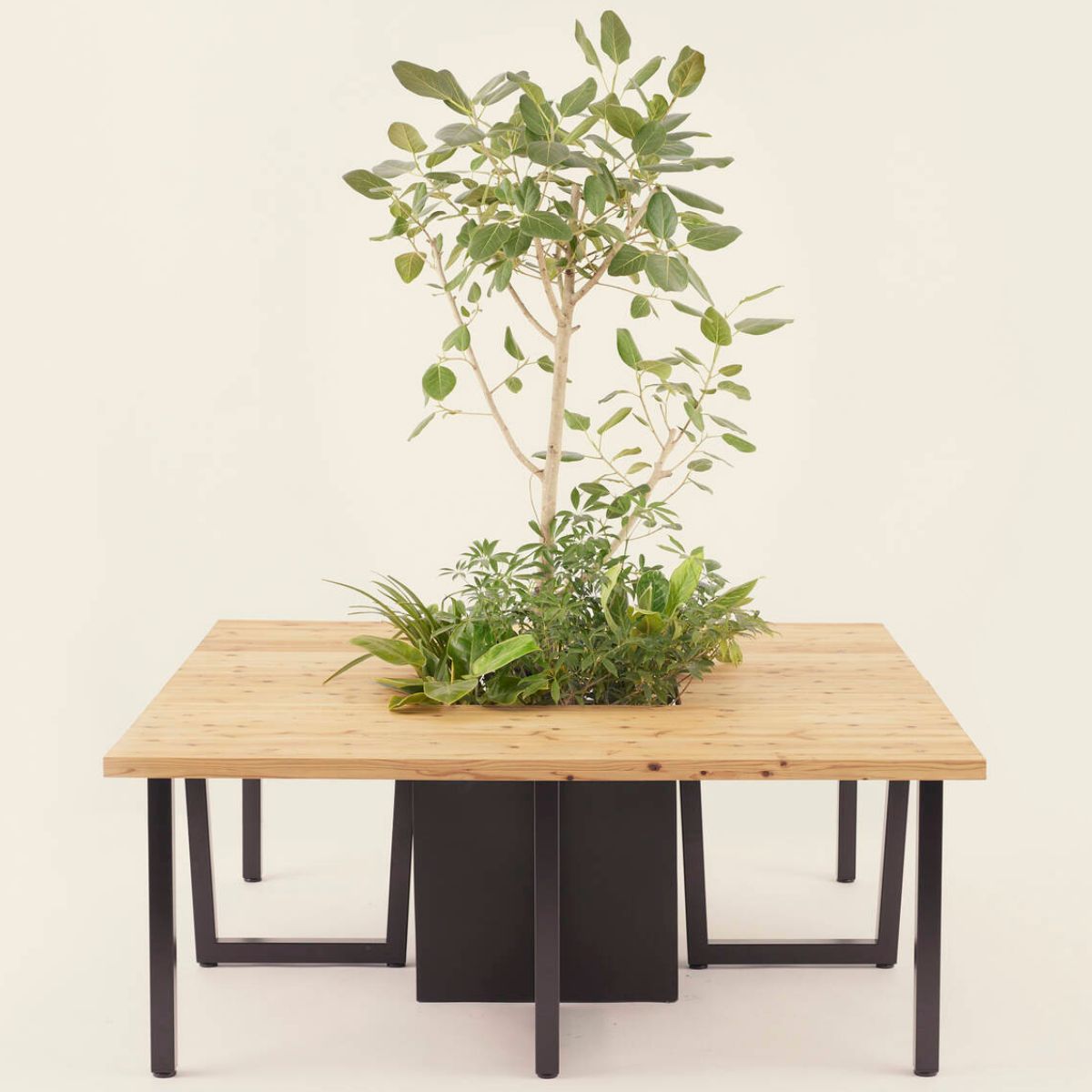 植栽テーブル Green Pit